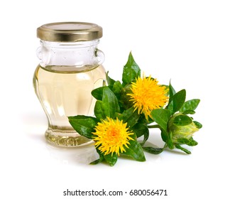Safflower plant with oil in the bottle. Isolated on white background.