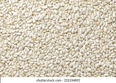 Safflower Seed Images Stock Photos Vectors Shutterstock,Data Entry At Home Jobs Legit