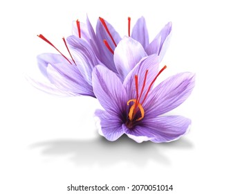 Saffron is a spice derived from the flower of Crocus sativus . - Shutterstock ID 2070051014