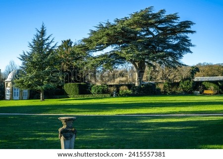 Saffron Walden, Essex, UK - January 15, 2024: An octagonal summerhouse next to an old cedar tree on the Summerhouse Lawn in Bridge End Gardens