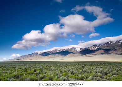 Sage Field By The Steens Mountain Range