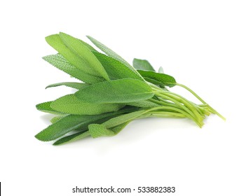 Sage Leaves Isolated On White