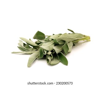 Sage Leaves On White