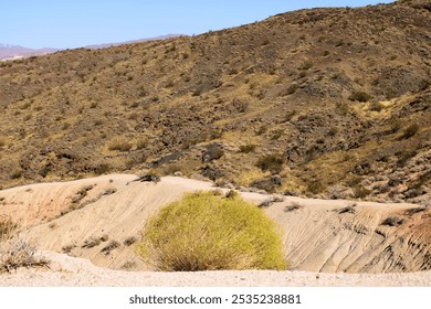 Sage Plant on a hillside ridge overlooking arid hills and sand dunes taken at the Mojave Desert in Red Rock Canyon State Park, CA - Powered by Shutterstock