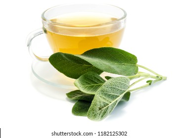 
Sage Tea In A Teacup Isolated On White Background