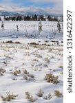 Sagebrush and elk herd on Blacktail Deer Plateau in winter with Washburn Range in Yellowstone National Park