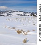 Sagebrush on Blacktail Deer Plateau in winter with Electric Peak in Yellowstone National Park