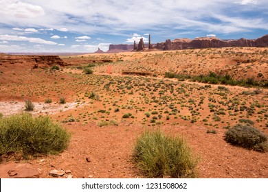 Sagebrush and red rock landscape in Monument Valley Utah in the Four Corners region of the Southwestern United States in Utah and Arizona