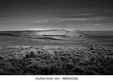 Sagebrush Sea, Malheur National Wildlife Refuge, Oregon 