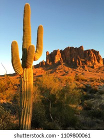 A Saguaro Cactus Grows Tall In A Desert Valley