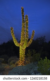 Cactus With Christmas Lights Stock Photos Images Photography Shutterstock
