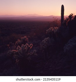 Saguaro National Monument Sonoran Desert