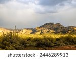 Saguaro National Park, Desert Sunrise, Desert Sunset, Rainbow in the Desert, Cactus Landscape, Cacti, Arid Landscape, Arizona, Tucson Arizona, Saguaro, National Parks, Wonders of the World