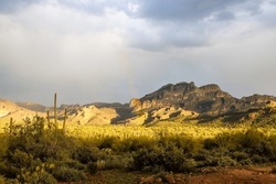 Saguaro National Park, Desert Sunrise, Desert Sunset, Rainbow In The Desert, Cactus Landscape, Cacti, Arid Landscape, Arizona, Tucson Arizona, Saguaro, National Parks, Wonders Of The World