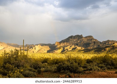 Saguaro National Park, Desert Sunrise, Desert Sunset, Rainbow in the Desert, Cactus Landscape, Cacti, Arid Landscape, Arizona, Tucson Arizona, Saguaro, National Parks, Wonders of the World - Powered by Shutterstock