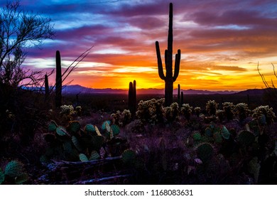 Saguaro National Park West, Tucson Arizona Sunset.