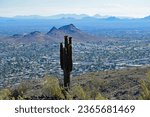 A saguaro on Shaw Butte stands tall over Lookout Mountain and North Phoenix