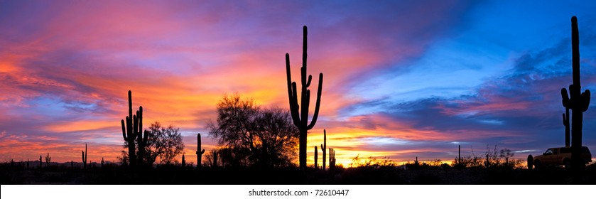 Saguaro Silhouette In Sonoran Desert Sunset Lit Sky.