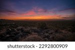 Saguaro Sunset | Saguaro National Park - West Section, Arizona, USA