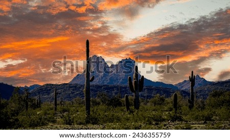 Saguaros cati in front of Arizona natural rock formation on cloudy sunset day