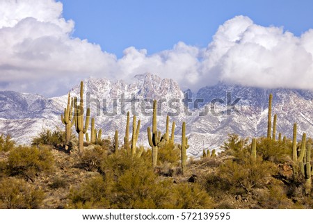 Image, Stock Photo Snow-capped Palon mountain peak in Garniga Terme, Trentino, Italy