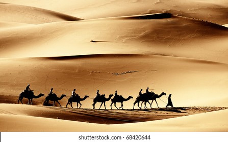 Sahara caravan
