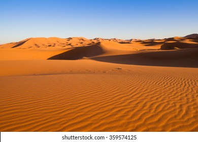 38,587 Safari sahara desert Images, Stock Photos & Vectors | Shutterstock