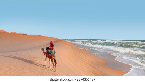 Sahara desert with Atlantic ocean meets -  A woman in a red turban riding a camel across the thin sand dunes of the in Western Sahara Desert, Morocco, Africa