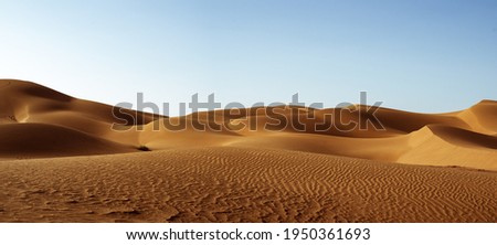 The Sahara desert with sand dunes and blue sky