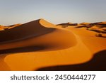 Sahara sand dunes with a golden hour light casting a shadow on the landscape