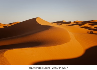 Sahara sand dunes with a golden hour light casting a shadow on the landscape - Powered by Shutterstock