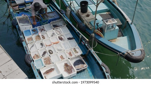 Sai Kung, Hong Kong 30 March 2021: Top Down View Of Fishing Boat Selling Seafood