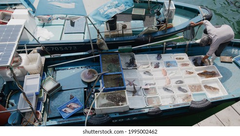 Sai Kung, Hong Kong 30 March 2021: Top Down View Of Fishing Boat Selling Seafood