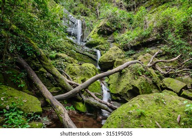 Sai Tip waterfall in Phu Soi Dao National Park, Uttaradit Province Thailand. - Shutterstock ID 315195035