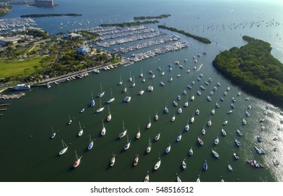 Sail Boats At Coconut Grove Miami