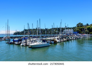 Sail boats and yachts docked at Corinthian Yacht Club marina. Belvedere residential skyline in background. - Tiburon, California, USA - 2022