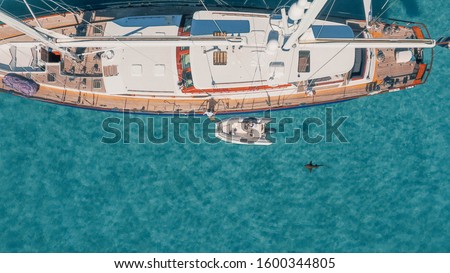 Sail Yacht and Shark Anchored