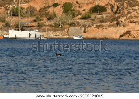 Sailboat in bay of greek island kalymnos blue brown. High quality photo