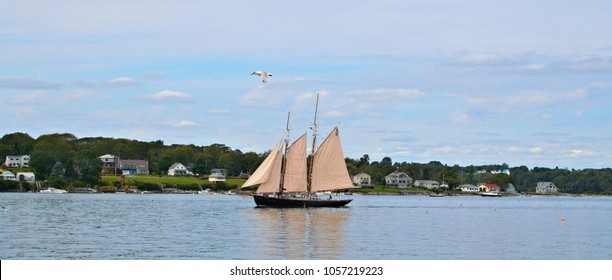 Sailboat Off The Coast Of Maine