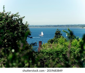 Sailboat On Bellingham Bay In The Summer