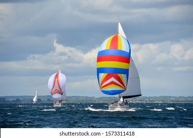 Sailboat Race With Spinnaker Sea