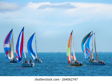 Sailboat Regatta Race With Colorful Spinnaker Sails Up On A Beautiful Sunny Morning.