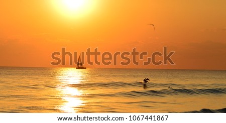 Sailboat in sunset at St Andrews St Park, Panama City Beach, Fl