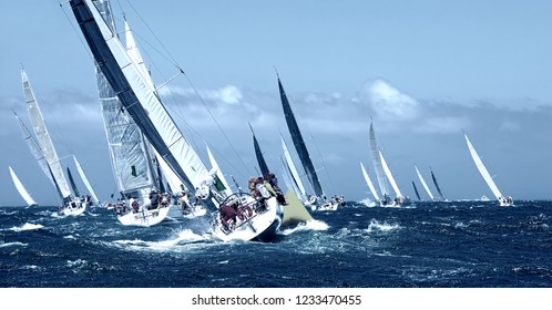 Sailboat under white sails at the regatta. Sailing yacht race