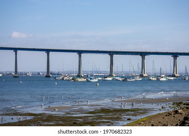 Sailboats Anchored By The Coronado Bay Bridge.