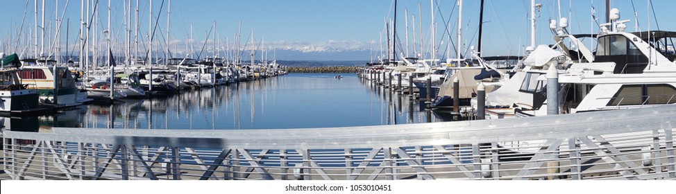 Sailboats in marina with Olympic Mountains in background, Seattle, Washington