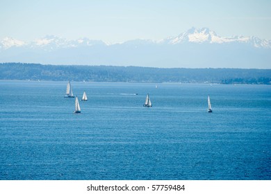 sailboats in Puget Sound with the Olympic mountains in the background