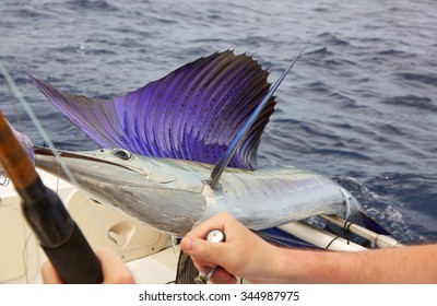 Sailfish, Fishing