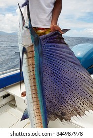 Sailfish, Fishing