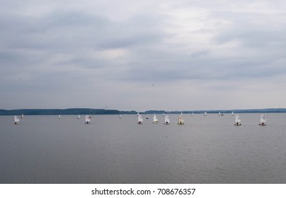 sailing